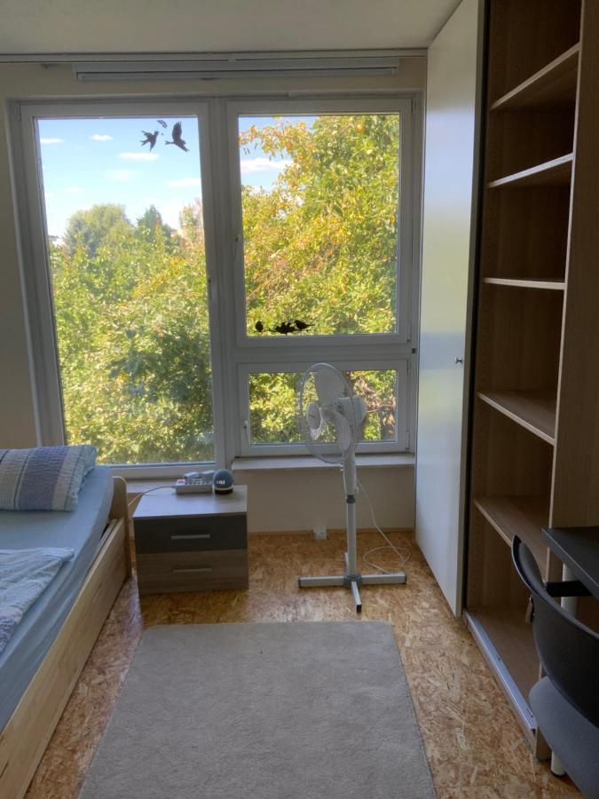 Ferien/ Monteurzimmer Mit Gemeinsam Wozi, Kue, Bad, Wlan Magdeburg Eksteriør bilde